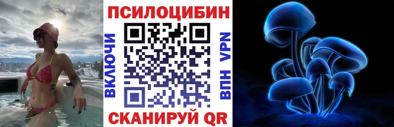 Псилоцибиновые грибы Cubensis Боготол