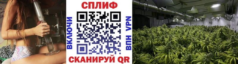omg сайт  продажа наркотиков  Боготол  Конопля тримм 